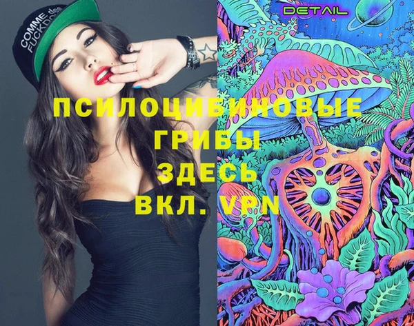 spice Алексин