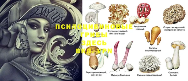 spice Алексин