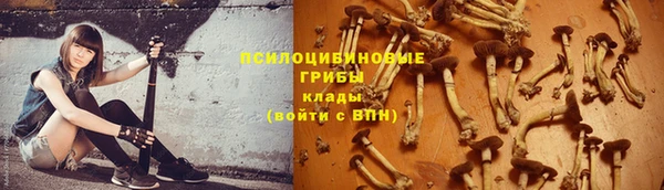 соль курить ск Алзамай